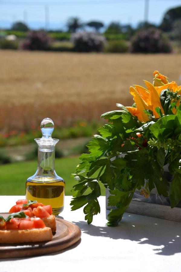 Agriturismo Il Vecchio Mandorlo Castiglione della Pescaia Exteriör bild
