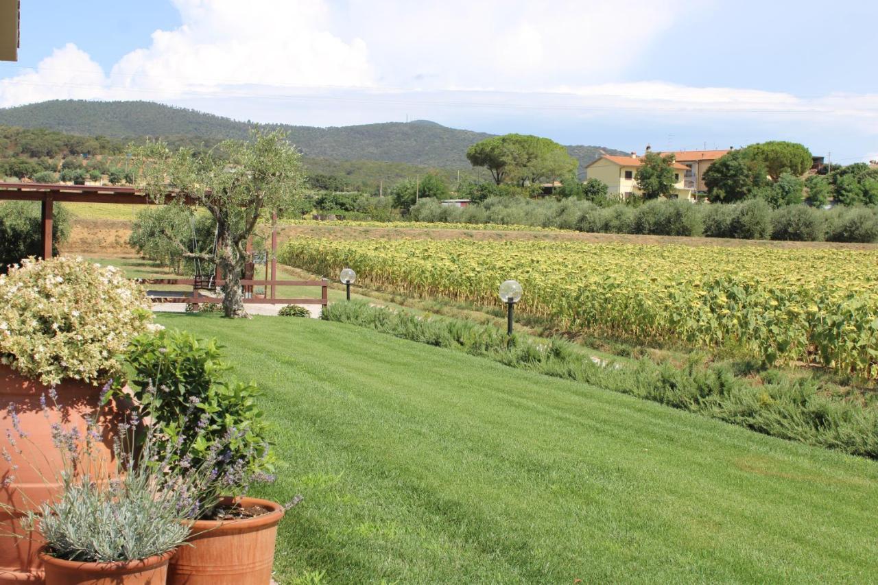 Agriturismo Il Vecchio Mandorlo Castiglione della Pescaia Exteriör bild