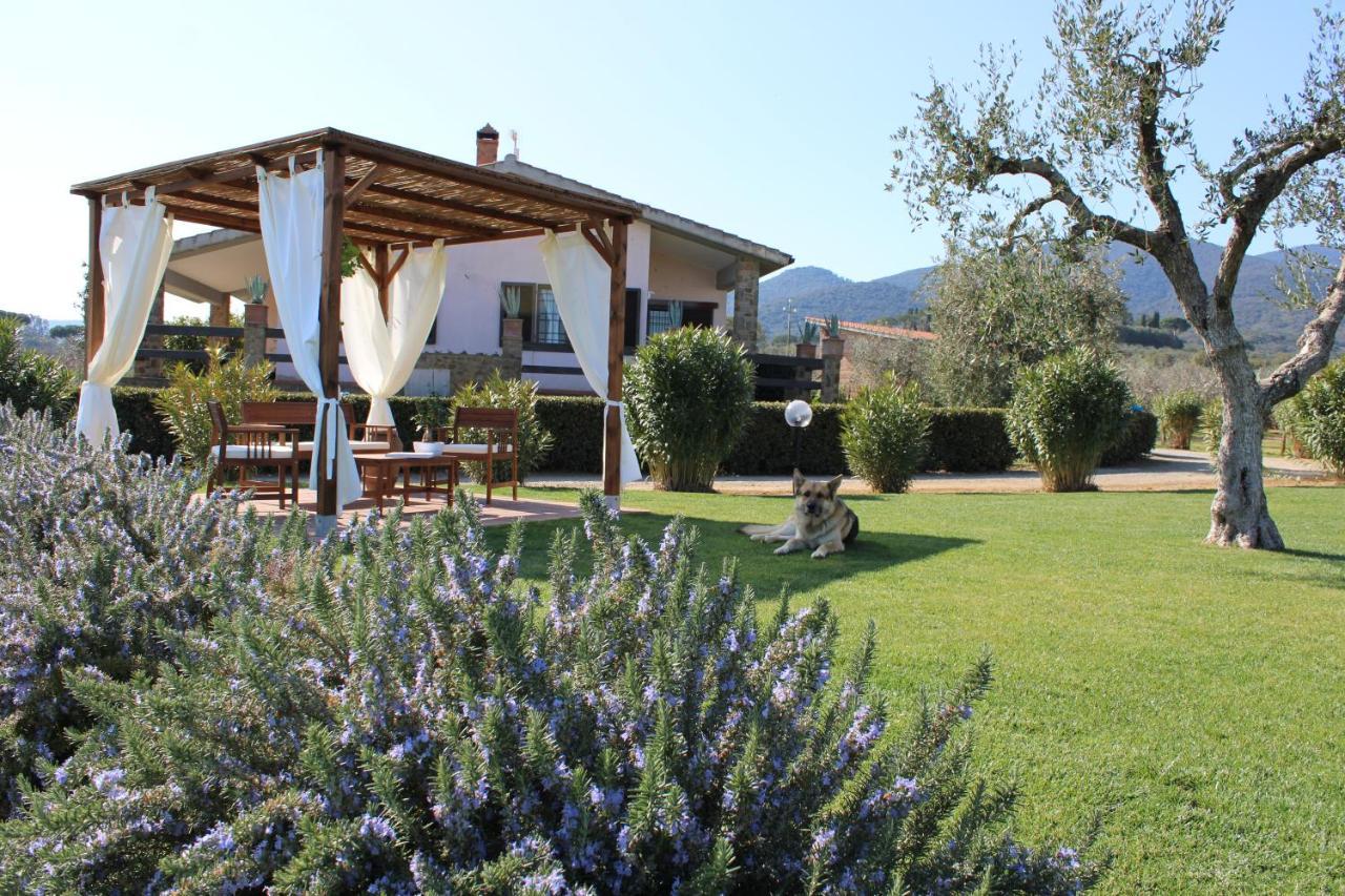 Agriturismo Il Vecchio Mandorlo Castiglione della Pescaia Exteriör bild